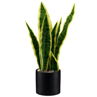 B&M Snake Plant In Pot 3 B&M Snake Plant In Pot