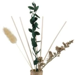 B&M Eden Life Reed Diffuser - Jasmine & Casis -Home Accessories Shop 395412 diffuser with dried flowers 3
