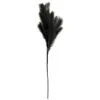 B&M Pampas Stem - Black 1 B&M Pampas Stem - Black -Home Accessories Shop 395541 pamas stem black