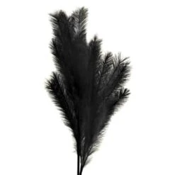 B&M Pampas Stem - Black 6 B&M Pampas Stem - Black -Home Accessories Shop 395541 pamas stem black 2